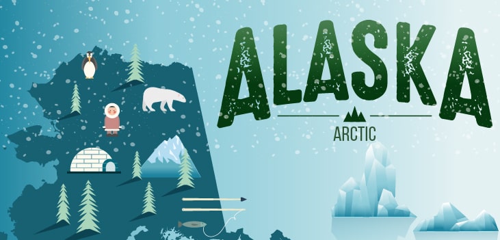 Homeschool Field Trips in the Far North