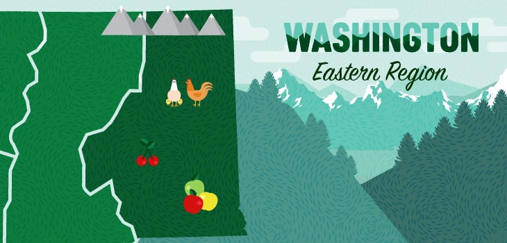 Field Trips in East Washington
