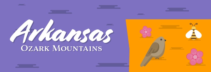 Ozark Mountains Region