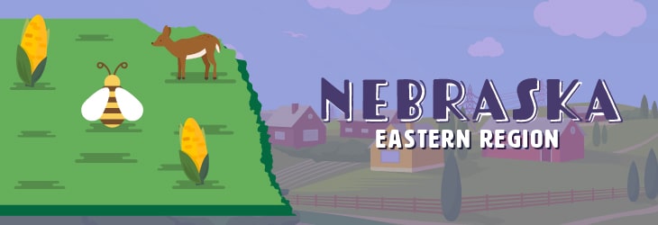 Field Trips in Eastern Nebraska