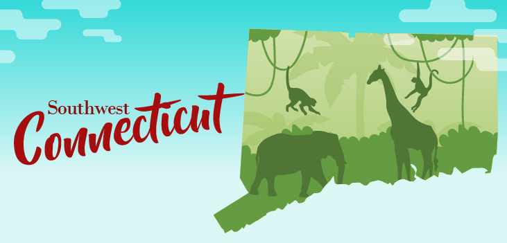 Southwest CT Field Trips