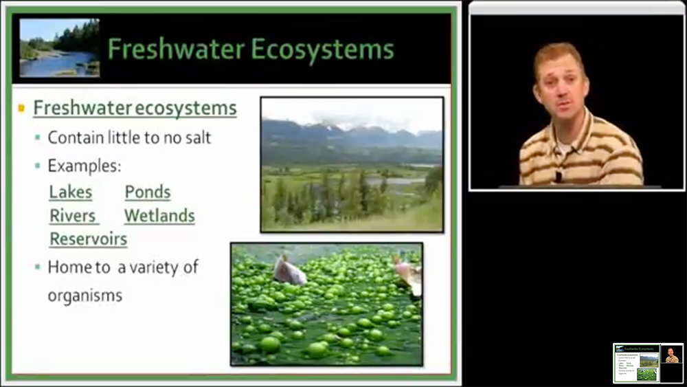 slide: greshwater ecosystems