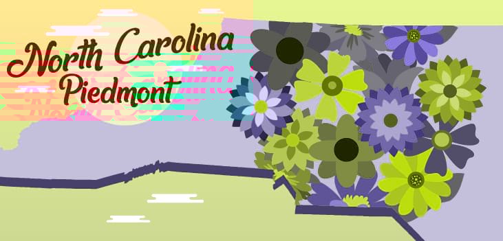 Homeschool Field Trips in the NC Piedmont