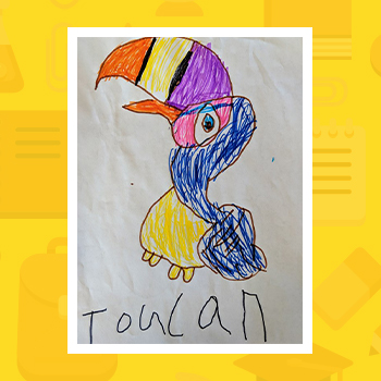 Teddy the Toucan