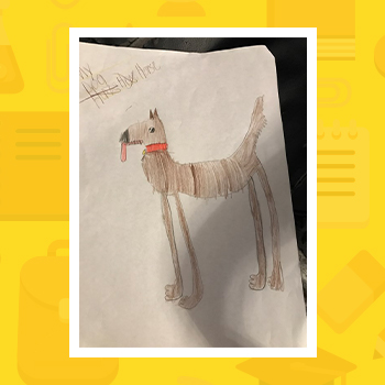 My Dog Horse
